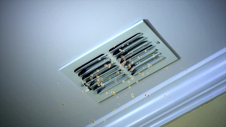 Best Best Air Duct Cleaning Company  in Bossier City, LA