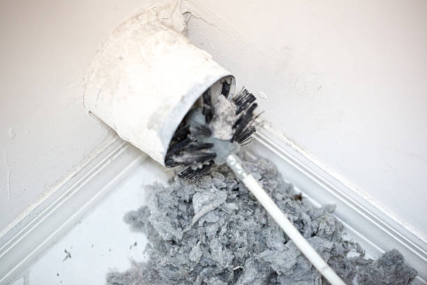 Best Local Air Duct Cleaning Services  in Bossier City, LA